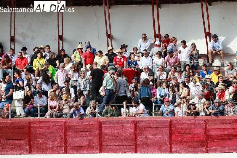 Corrida de toros en Ledesma para la despedida de Domingo López Chaves. Foto de Miguel Hernández