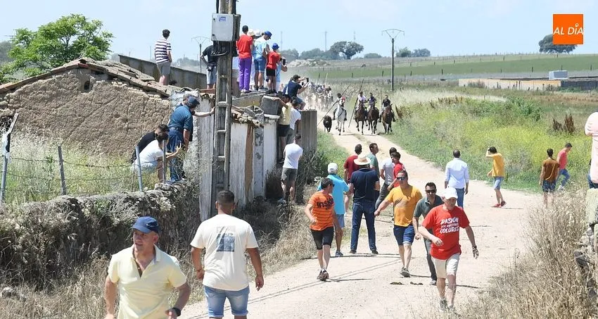 Encierro a caballo en Martín de Yeltes/ Fotos: Adrián M.Pastor