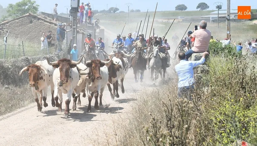 Encierro a caballo en Martín de Yeltes/ Fotos: Adrián M.Pastor