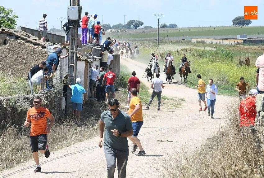 Encierro a caballo en Martín de Yeltes/ Fotos: Adrián M.Pastor