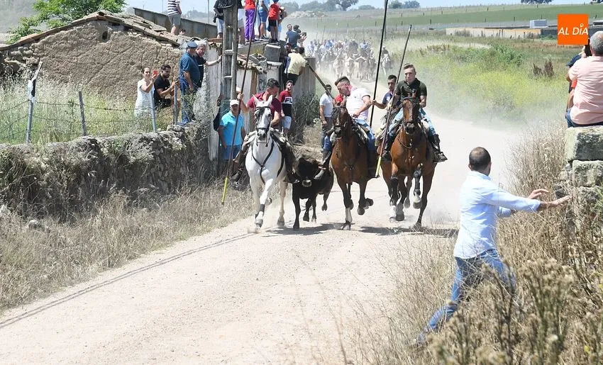 Encierro a caballo en Martín de Yeltes/ Fotos: Adrián M.Pastor