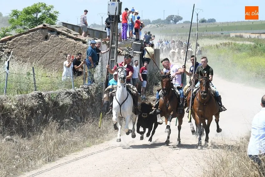 Encierro a caballo en Martín de Yeltes/ Fotos: Adrián M.Pastor