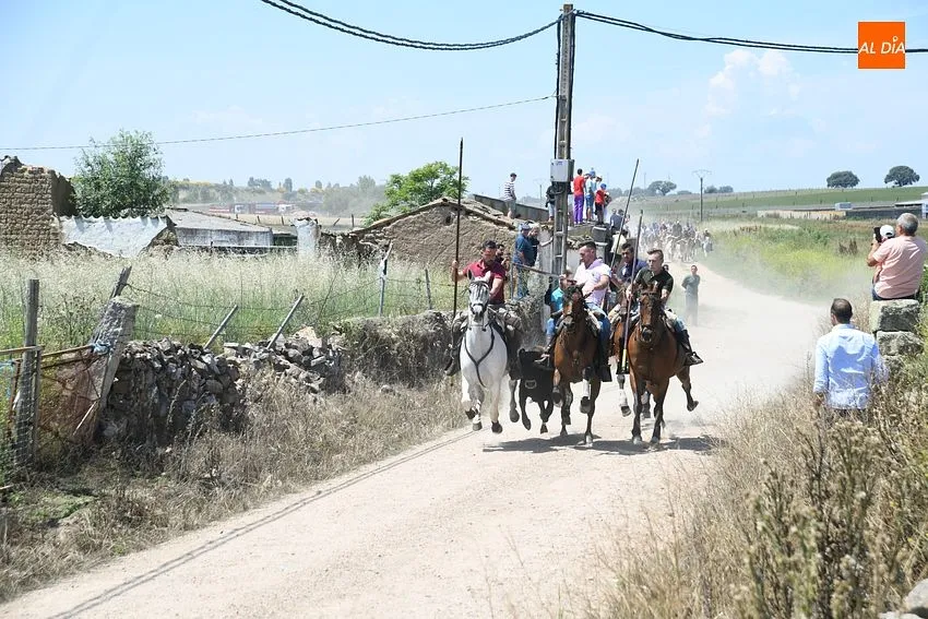 Encierro a caballo en Martín de Yeltes/ Fotos: Adrián M.Pastor