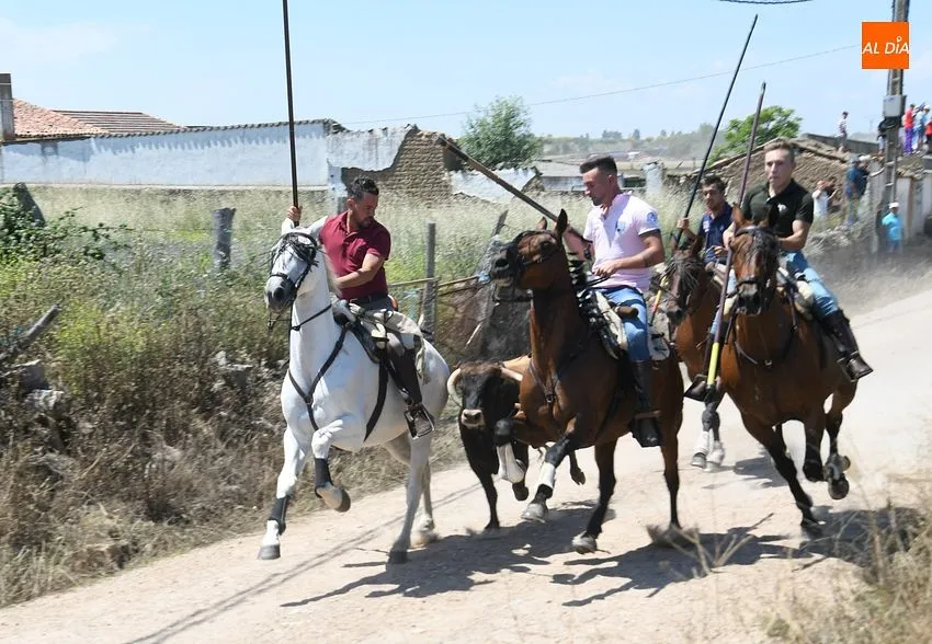 Encierro a caballo en Martín de Yeltes/ Fotos: Adrián M.Pastor