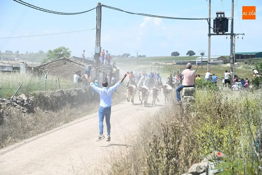 Encierro a caballo en Martín de Yeltes/ Fotos: Adrián M.Pastor