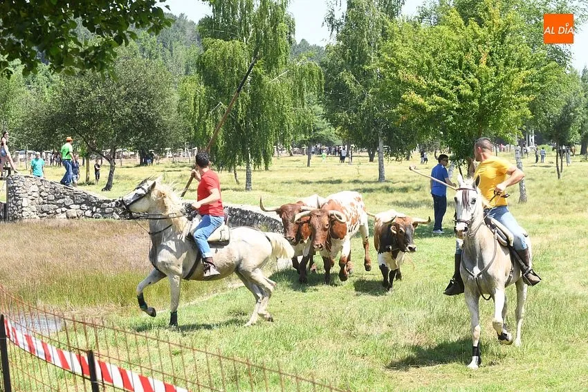 Encierro a caballo en Navasfrías/ Fotos: Adrián M.Pastor