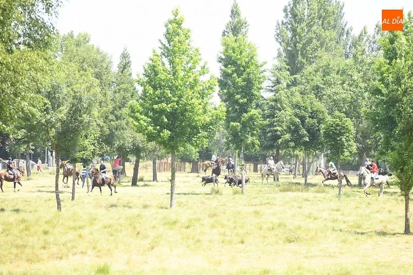 Encierro a caballo en Navasfrías/ Fotos: Adrián M.Pastor