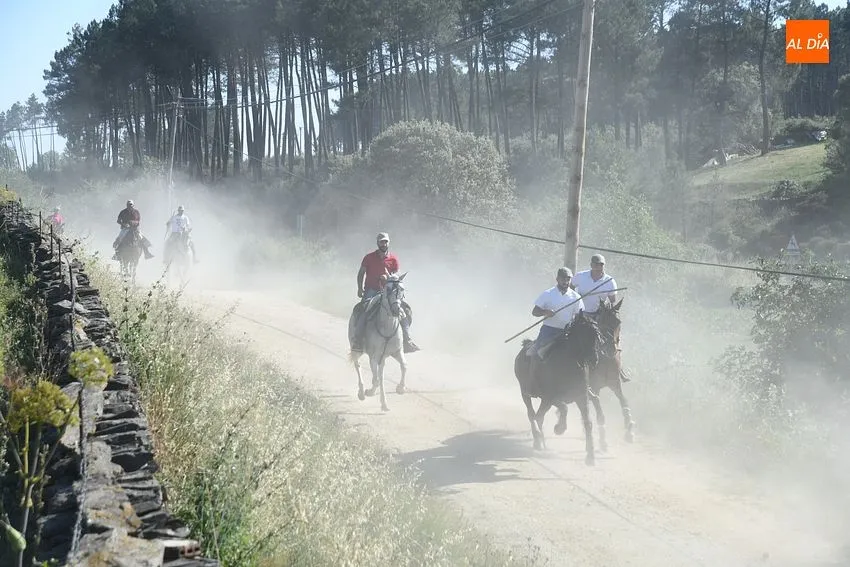 Foto 11 - R&aacute;pido y puntual encierro a caballo en Robleda con nuevo y exigente recorrido