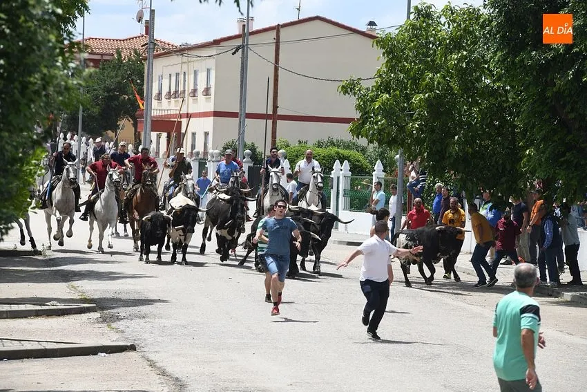 Encierro a caballo la Fuente/ Fotos: Adrián M.Pastor