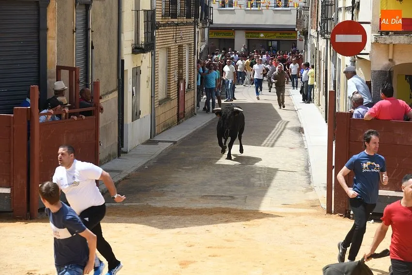 Momento en el encierro del sábado de Corpus/ Fotos: Adrián M.Pastor