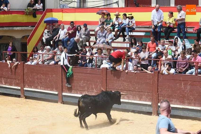 Momento en el encierro del sábado de Corpus/ Fotos: Adrián M.Pastor