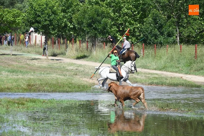 Encierro a caballo en Sanctispiritus/ Fotos: Adrián M.Pastor