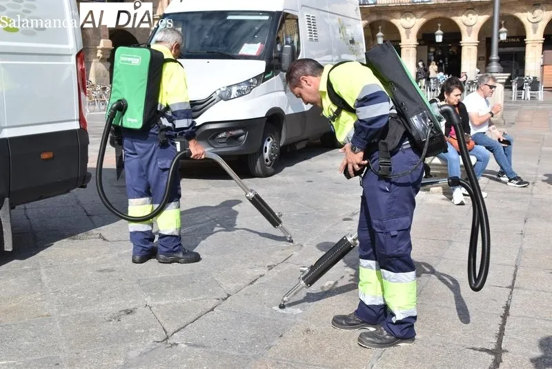 Salamanca estrena un eficaz sistema para retirar chicles de las calles | FOTOS: Vanesa Martins 