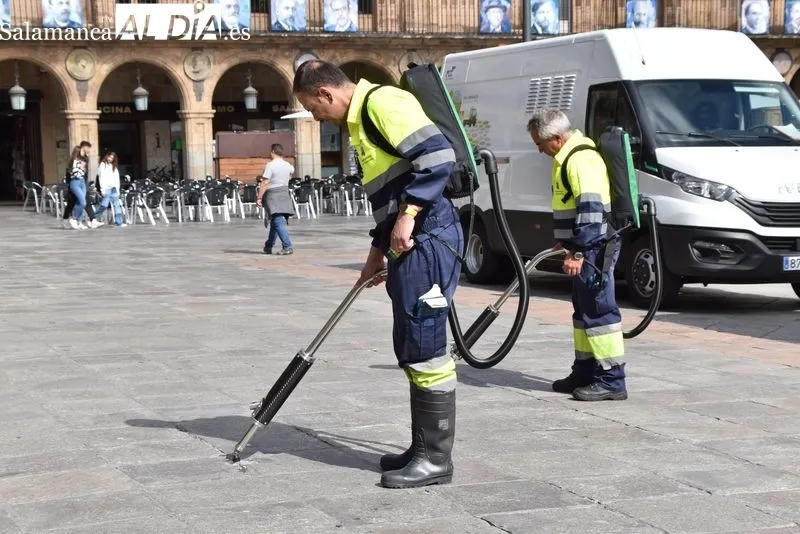 Salamanca estrena un eficaz sistema para retirar chicles de las calles | FOTOS: Vanesa Martins 