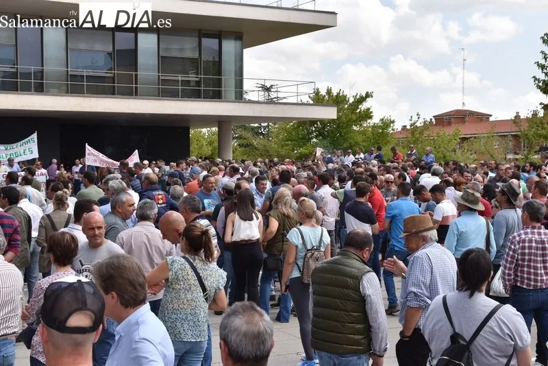 Ganaderos manifestándose a las puertas de la Delegación Territorial de la Junta en Salamanca