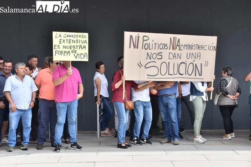 Ganaderos manifestándose a las puertas de la Delegación Territorial de la Junta en Salamanca