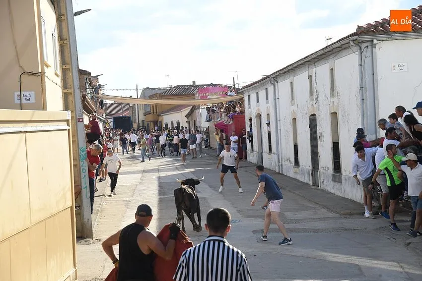 I Toro del Cajón fiestas Martín de Yeltes/ Foto: Adrián M.Pastor