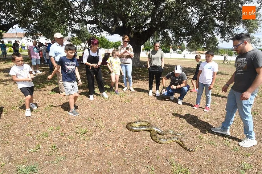 Cetreria y herpetología en Campillo de Azaba/ Fotos: Adrián M.Pastor