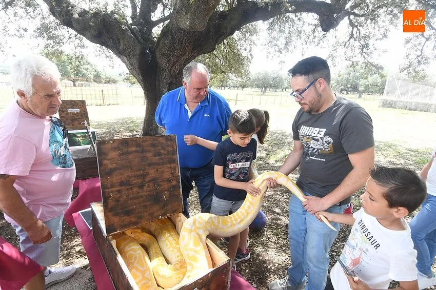 Cetreria y herpetología en Campillo de Azaba/ Fotos: Adrián M.Pastor