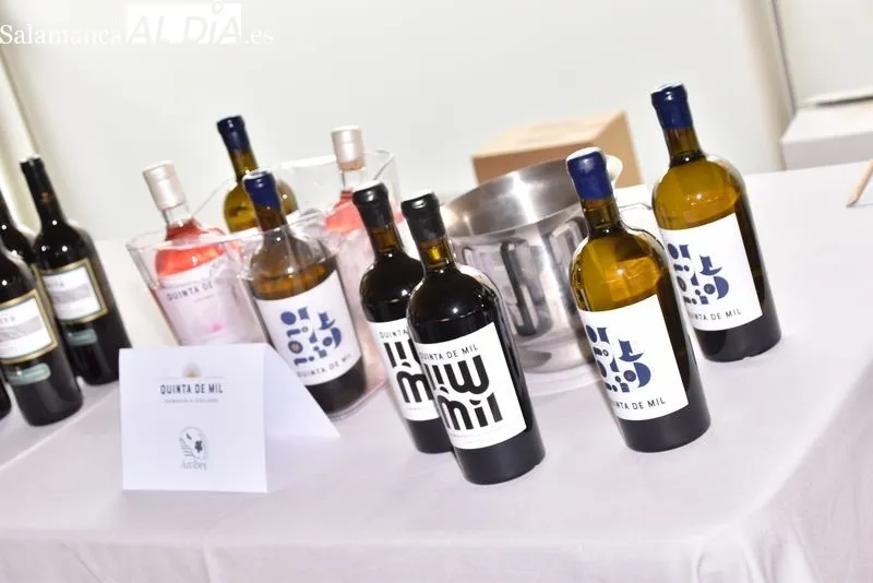 Presentación de los vinos y bodegas de la DO Arribes | FOTOS: AM