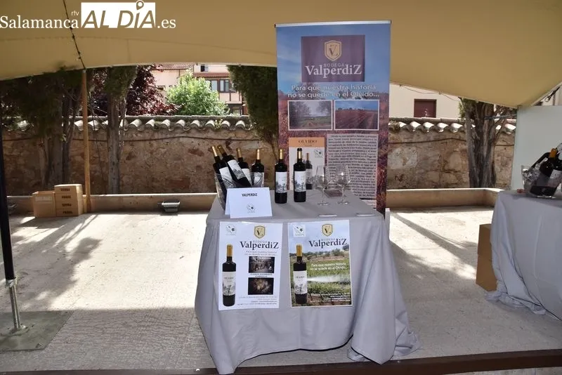 Presentación de los vinos y bodegas de la DO Arribes | FOTOS: AM