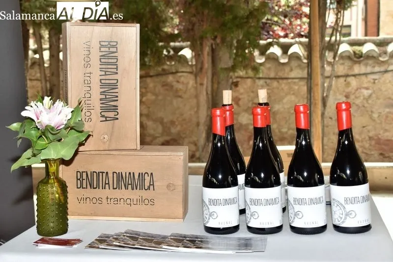 Presentación de los vinos y bodegas de la DO Arribes | FOTOS: AM