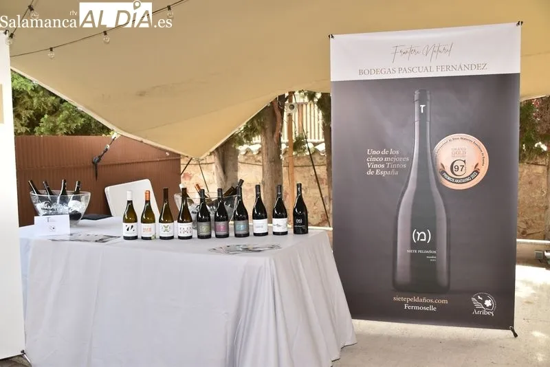 Presentación de los vinos y bodegas de la DO Arribes | FOTOS: AM