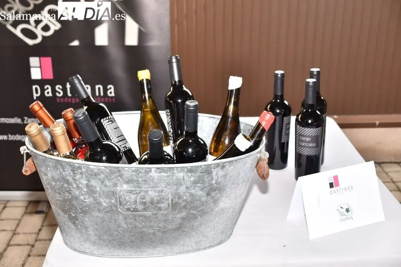 Presentación de los vinos y bodegas de la DO Arribes | FOTOS: AM