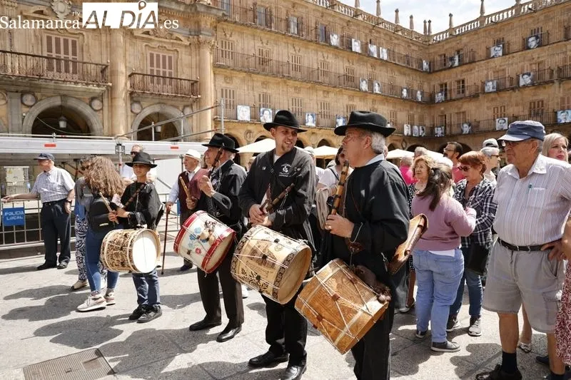 Pasacalles de folclore Charro en la Plaza Mayor de Salamanca. Foto de David Sañudo