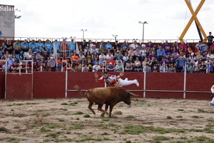 Los toros centran la tarde festiva en Villares de la Reina