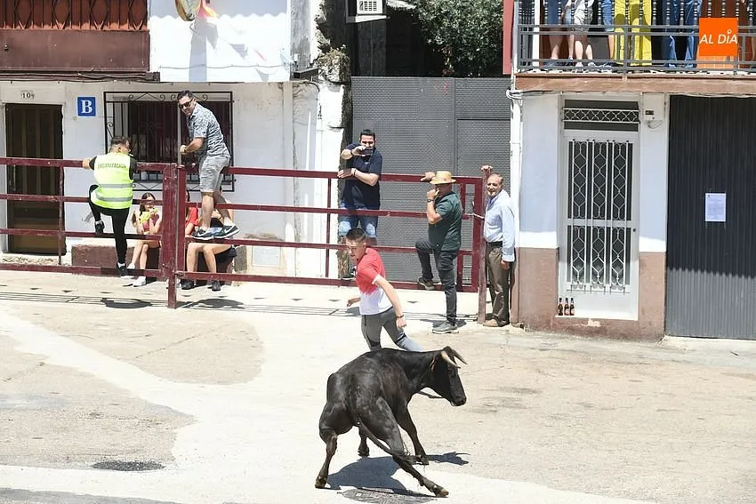 Foto 2 - Numerosos j&oacute;venes se miden en las calles de El Payo a las vaquillas con mucho calor