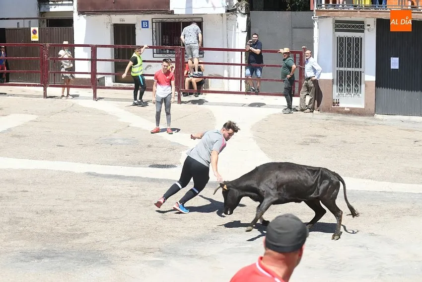 Foto 3 - Numerosos j&oacute;venes se miden en las calles de El Payo a las vaquillas con mucho calor