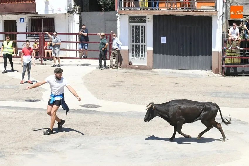 Foto 4 - Numerosos j&oacute;venes se miden en las calles de El Payo a las vaquillas con mucho calor