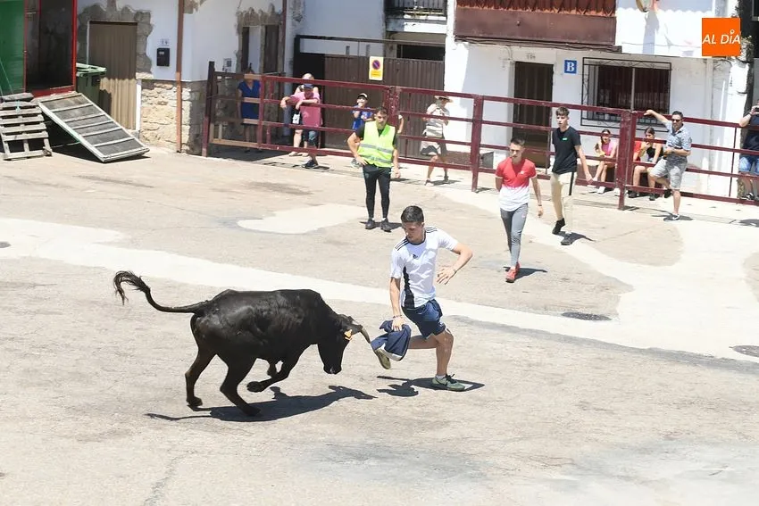 Foto 5 - Numerosos j&oacute;venes se miden en las calles de El Payo a las vaquillas con mucho calor