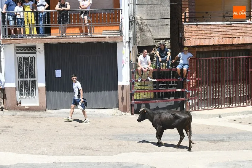 Foto 6 - Numerosos j&oacute;venes se miden en las calles de El Payo a las vaquillas con mucho calor