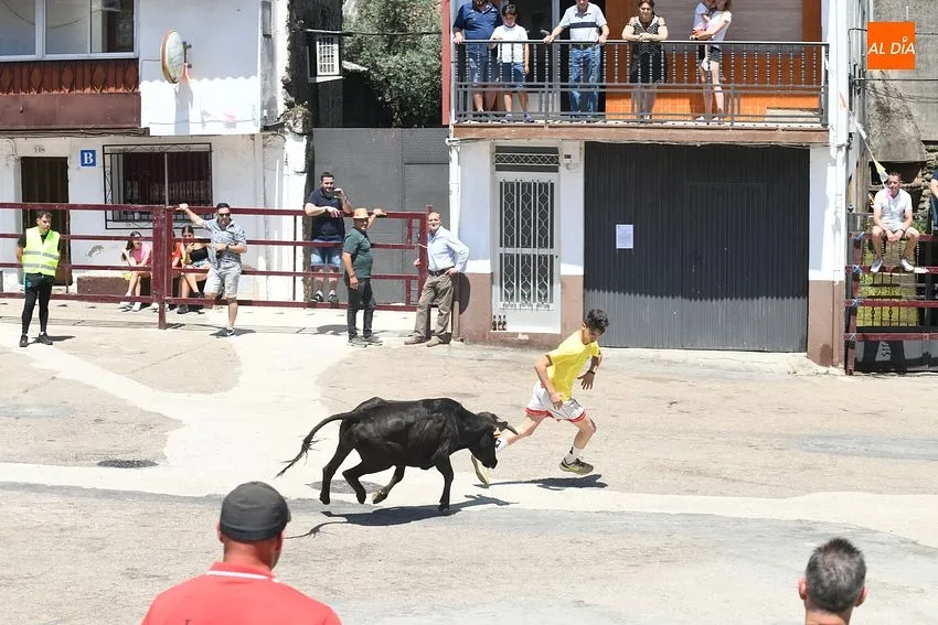Foto 7 - Numerosos j&oacute;venes se miden en las calles de El Payo a las vaquillas con mucho calor