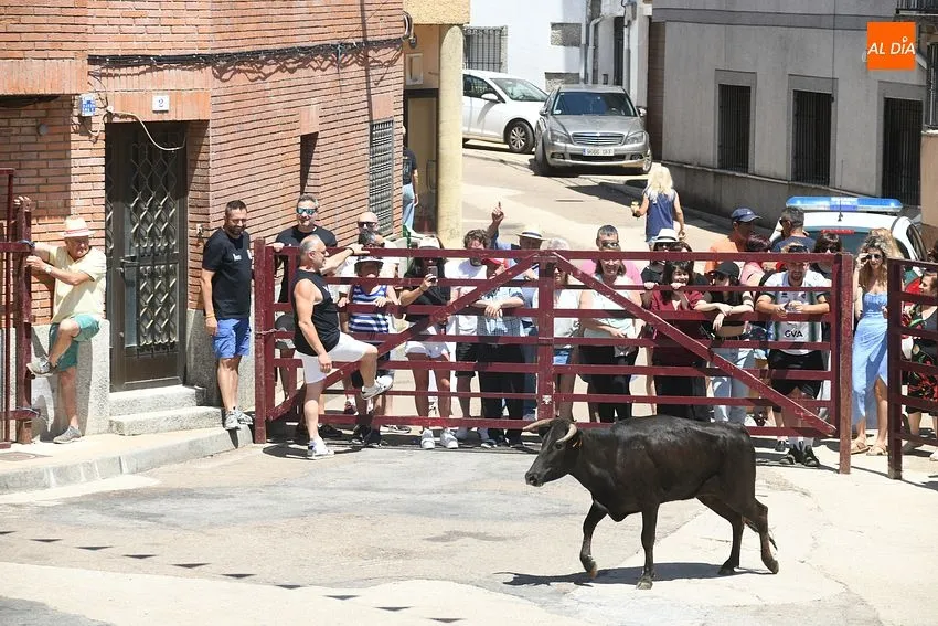 Foto 10 - Numerosos j&oacute;venes se miden en las calles de El Payo a las vaquillas con mucho calor