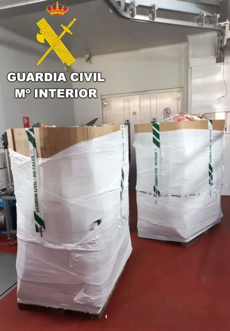 Foto facilitada por la Guardia Civil de estas intervenciones