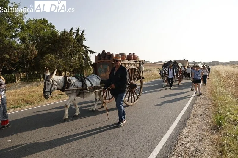 Desfile de recreadores napoleónicos en Arapiles. Fotos: David Sañudo