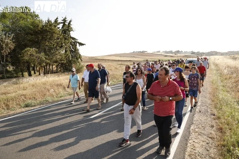 Desfile de recreadores napoleónicos en Arapiles. Fotos: David Sañudo