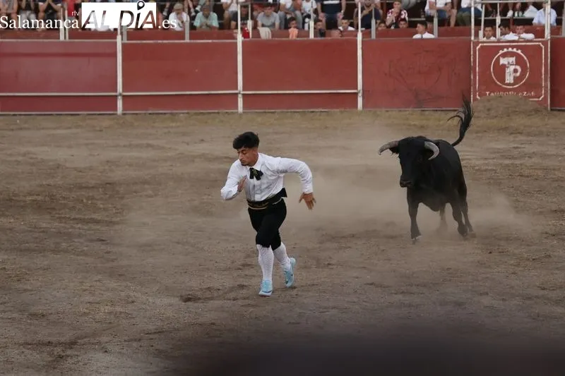 Concurso de cortes ‘Charro de Oro’ en Santa Marta. Fotos: David Sañudo