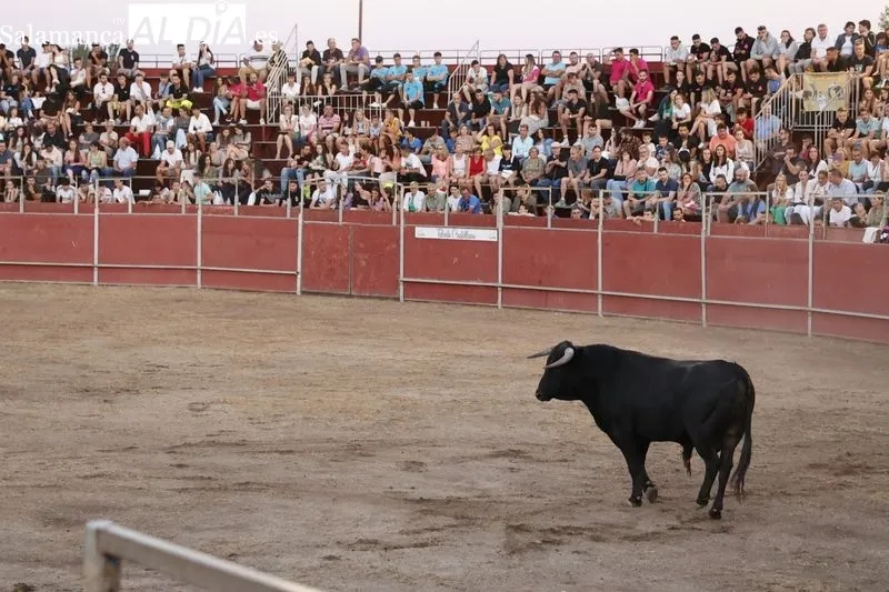 Concurso de cortes ‘Charro de Oro’ en Santa Marta. Fotos: David Sañudo