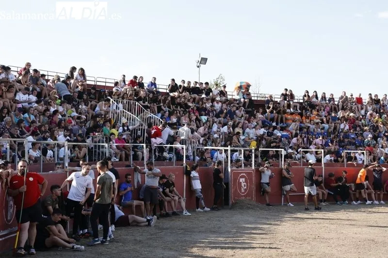 Foto 3 - Santa Marta celebra sus fiestas con la tradicional capea popular