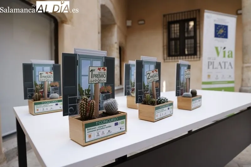 Foto 17 - Estos son los ganadores del primer &lsquo;Concurso de balcones y espacios comunes privados verdes LIFE V&iacute;a de la Plata&rsquo;