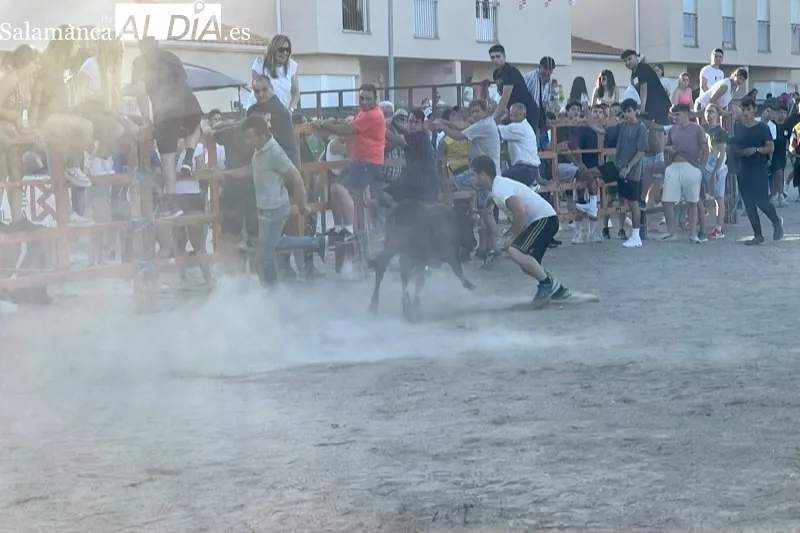 Villoruela vivía este sábado su segundo toro de cajón