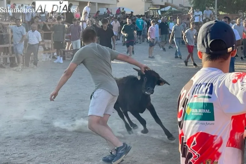 Villoruela vivía este sábado su segundo toro de cajón