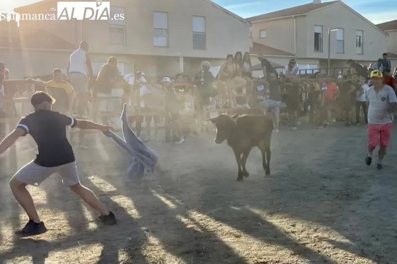 Villoruela vivía este sábado su segundo toro de cajón