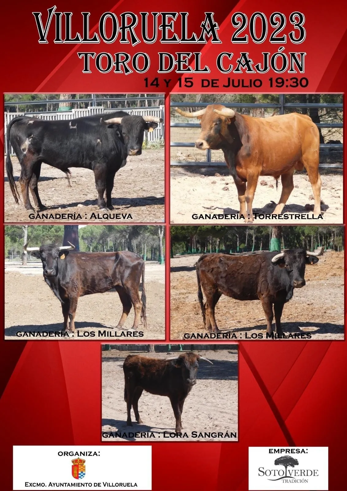 Foto 2 - Cinco toros y dos d&iacute;as: As&iacute; ser&aacute; el Toro de Caj&oacute;n 2023 en Villoruela