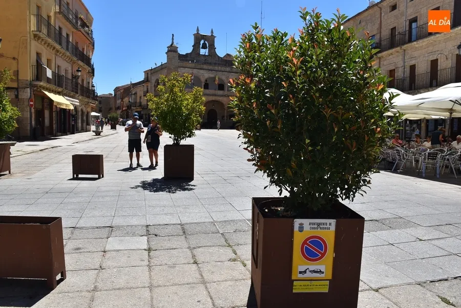 Foto 6 - La Plaza Mayor estrena su imagen veraniega