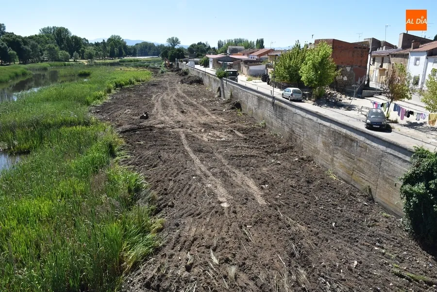Foto 2 - Llenados 14 camiones con la maleza y enseres que hab&iacute;a junto al muro de contenci&oacute;n